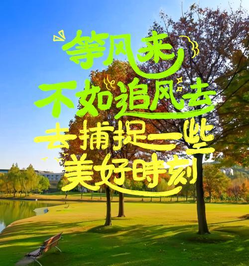 以御住净化产品的有效性和优势分析（从、品质保证到综合应用，揭示以御住净化产品的卓越表现）