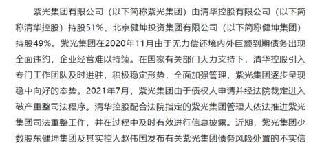 紫光计划（全面提升芯片自主创新能力，实现科技自立自强）