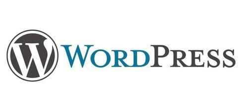 通过WordPress创作主题文章的指南（优化你的WordPress主题写作技巧）