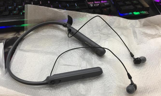 索尼L39（探索索尼L39相机的功能与性能）