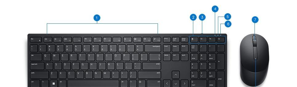 以Dell安装Win8.1教程（详解Dell电脑安装Windows8.1的步骤与技巧）